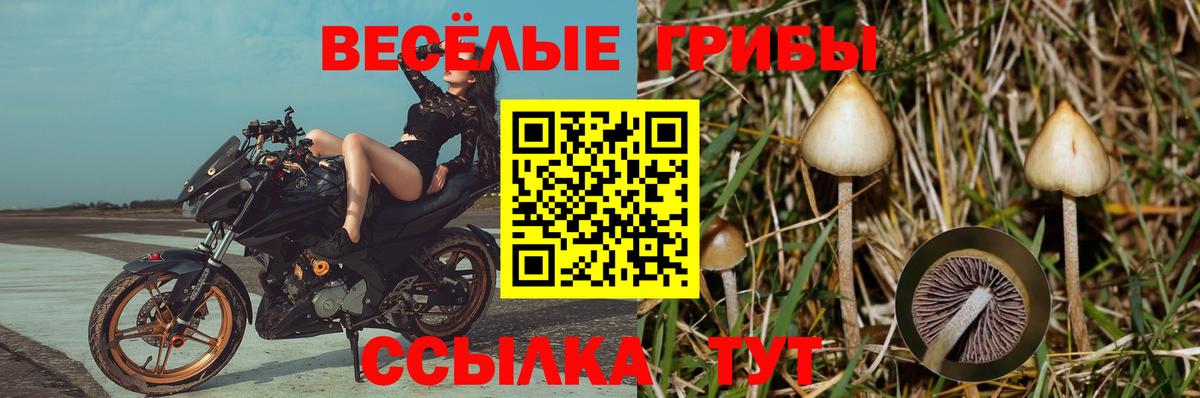 Менделеевск  Псилоцибиновые грибы Magic Shrooms  Вход с VPN 